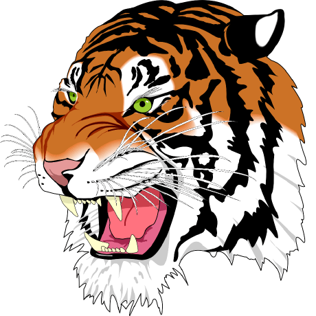 Tora Tora Tiger Tora Github - Incredible Minimal Pattern - HD