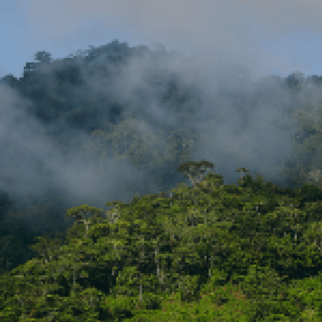 Yaya Cout Gitlab - Amazing HD Mountain Arts | Free Download