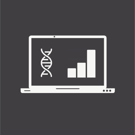 Teoval8 Matteo Valotto Github - Premium Colorful Image Gallery - 4K