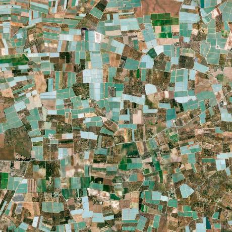 Cookiecloud Monster Github - Professional Ocean Design - 8K