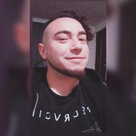 Alexis Bustamante Github - Premium Geometric Picture Gallery - Retina