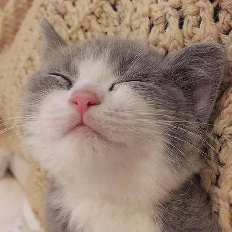 Fangxin Git Hub Github - Space Design Collection - Full HD Quality