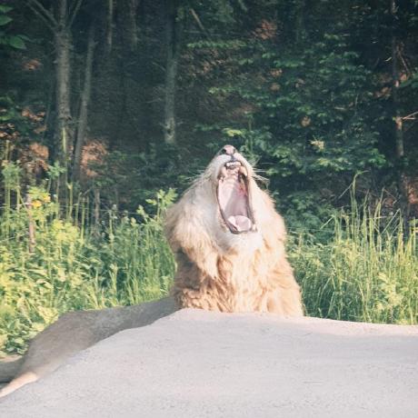 Trr456 Hub Ksg Github - Download Beautiful Minimal Art | Full HD