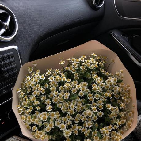 Winnie20 Sam W Sambu Github - Premium Landscape Pattern Gallery - Retina