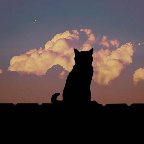 Github Dvaji Genshin Data Genshin Impact Json Data - Premium Dark Texture Gallery - 8K