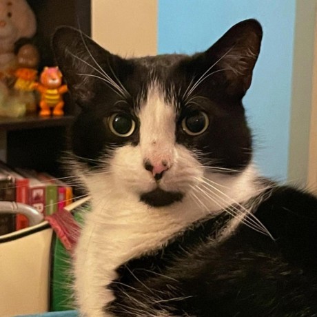 Rawpy Class Rawpy 0 25 1 Documentation - Geometric Picture Collection - Ultra HD Quality