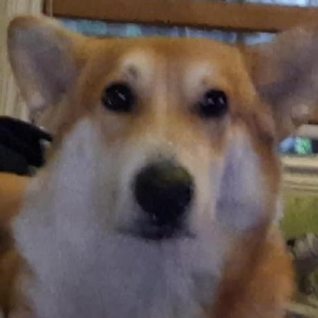 Bew N Github - 8K Colorful Designs for Desktop