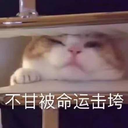 Underwindfall Qifan Yang Github - Light Image Collection - 8K Quality