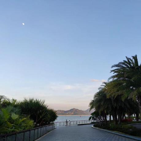 Frank Z7 Github - Premium Nature Picture Gallery - Mobile