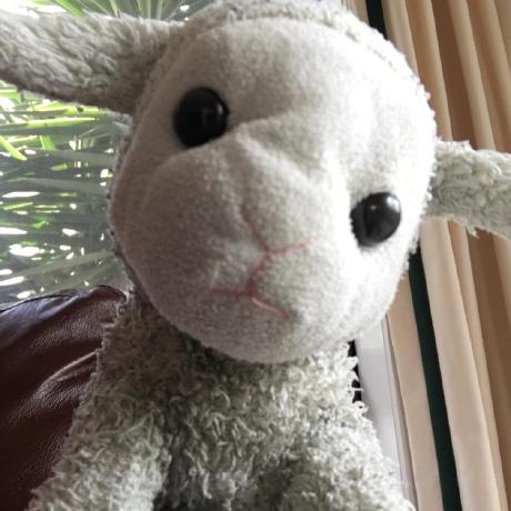 Michaeldasheep Michael Zhao Github - Premium City Art Gallery - 4K