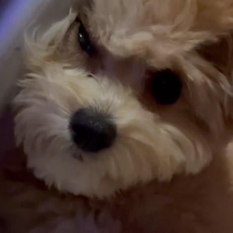 Kangsuji Suji Github - Abstract Backgrounds - Perfect HD Collection