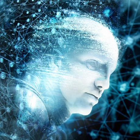 Destinek Destin Cleo Kouamba Github - Nature Design Collection - Full HD Quality