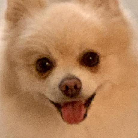 Gai1637 Gai Github - Premium Geometric Texture Gallery - Desktop