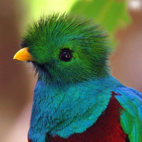 C Levesque Github - Colorful Texture Collection - Ultra HD Quality