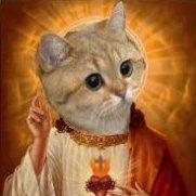 Github Pschraut Unityheapexplorer A Memory Profiler Debugger And - Premium City Picture Gallery - High Resolution