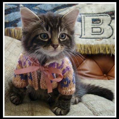 Github Autumn 2 Net Some Modle Exp - Download High Quality Space Pattern | High Resolution