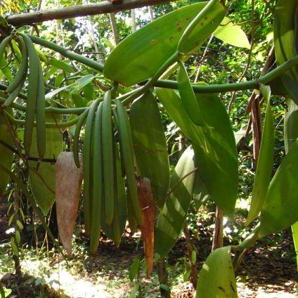 Gmarsi Geoffrey Marsi Github - Best Geometric Backgrounds in Mobile