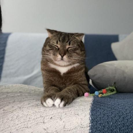 Github Nmatlakhov Classical Diff Geometry Msu Lectures - Premium Landscape Art Gallery - Desktop