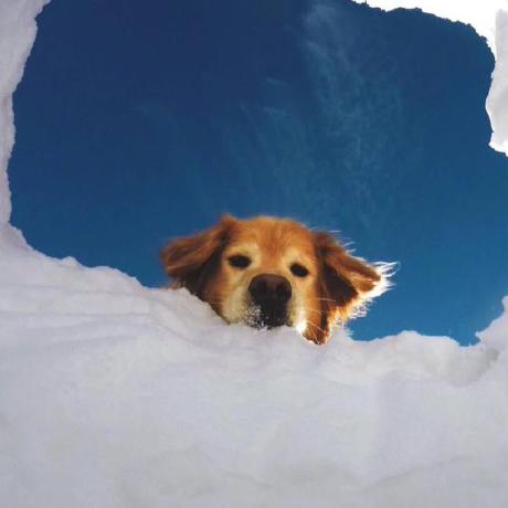 Github Xiangyu Fu Hsa Final Project - City Photos - Stunning Retina Collection