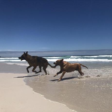 Github Oh1107 Herehear Herehear - Full HD Light Images for Desktop