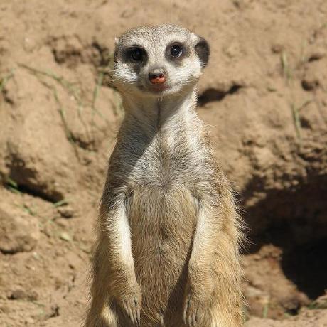 Github Ritualnoise Ritualnoise Github Io - City Arts - High Quality HD Collection