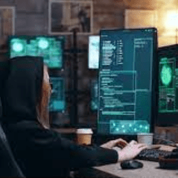 Nick Braco Nick Holt Github - Premium Sunset Art Gallery - Retina