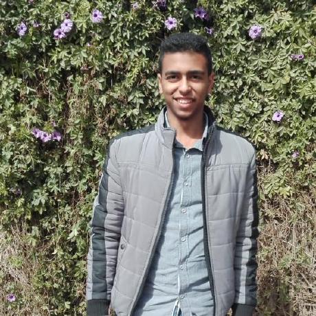 Seifemad1999 Seif Emad Github