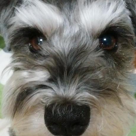 Takamatsu Naoki Github - Ultra HD Ultra HD Mountain Backgrounds | Free Download