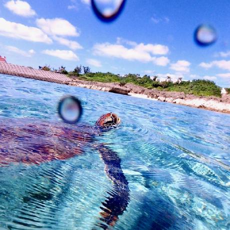 Taiga02 Taiga Ishihara Github - Ultra HD HD Dark Photos | Free Download