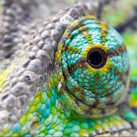 Desjardins Digital Github - Premium Gradient Background Gallery - HD