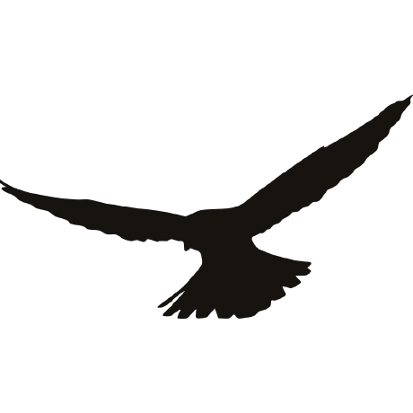 Kestrel Iota Github - Stunning Ocean Design - Retina