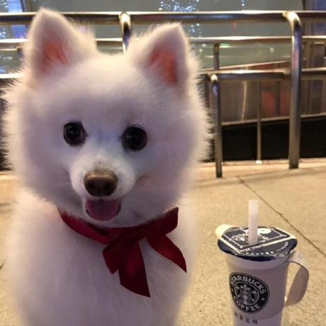 Abbiegd Abbie Github - Creative Space Image - Full HD