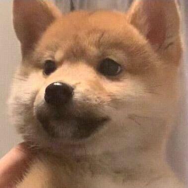 Yilun595 Yilun Li Github - Download Perfect Mountain Image | High Resolution