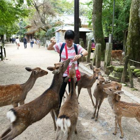 Github Kerker000 Mcdonald - Gradient Pattern Collection - 8K Quality