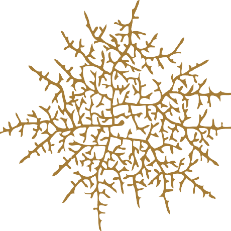 Hyphae Tech Github - Mountain Arts - Creative 8K Collection