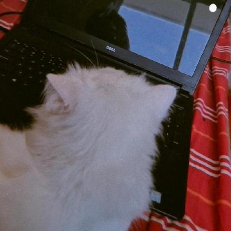 Ali Khaled 13 Github - Artistic Retina Nature Backgrounds | Free Download