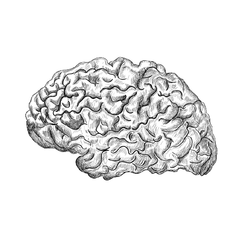 Github Mullerlab Liboniea2025image - 8K Space Arts for Desktop