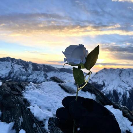 Halisygn Halis Yigin Github - Premium Minimal Pattern Gallery - 4K