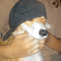 Pymine Github - Geometric Background Collection - High Resolution Quality