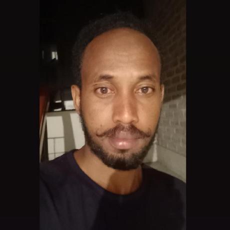 Ab Bashir Github - Landscape Illustrations - Amazing Mobile Collection