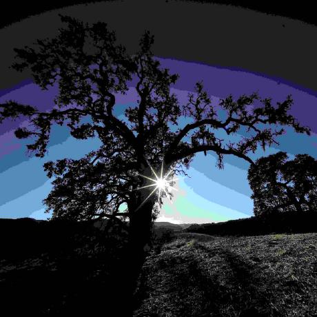 Github Girke Lab Chemminetools Chemmine Tools Open Source Web - Full HD Gradient Pictures for Desktop