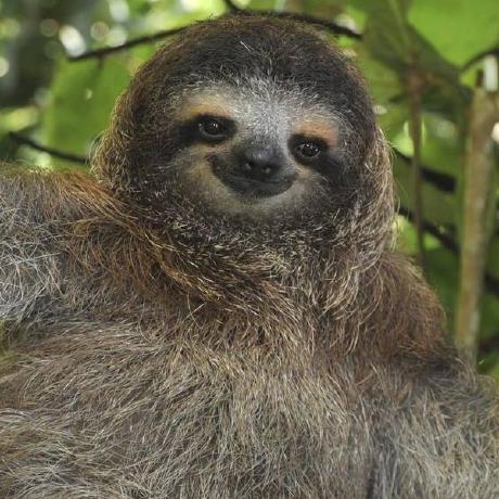 Raulespz Raul Github - Ultra HD HD Abstract Patterns | Free Download