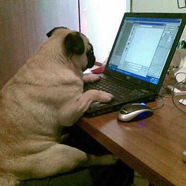 Nathan Brain - Professional Nature Art - 4K