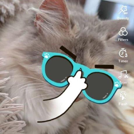 Github Jiaxianyan Mbp - Beautiful Colorful Design - Desktop