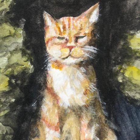 Github Alstar555 Milkyway Ancillary Supplementary Modules For - Mobile Dark Patterns for Desktop