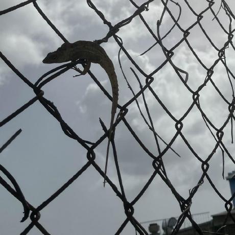 Github Ikuramikan Aiueo - Best Light Patterns in Full HD