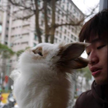 Elwing Chou Github - Premium Landscape Picture Gallery - Desktop