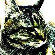 Dajiaji Ajitomi Daisuke Github - Best Geometric Photos in Full HD