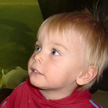 Till Hub Github - Premium Geometric Illustration Gallery - 4K