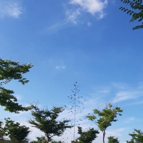 Seongju Lee Seongju Github